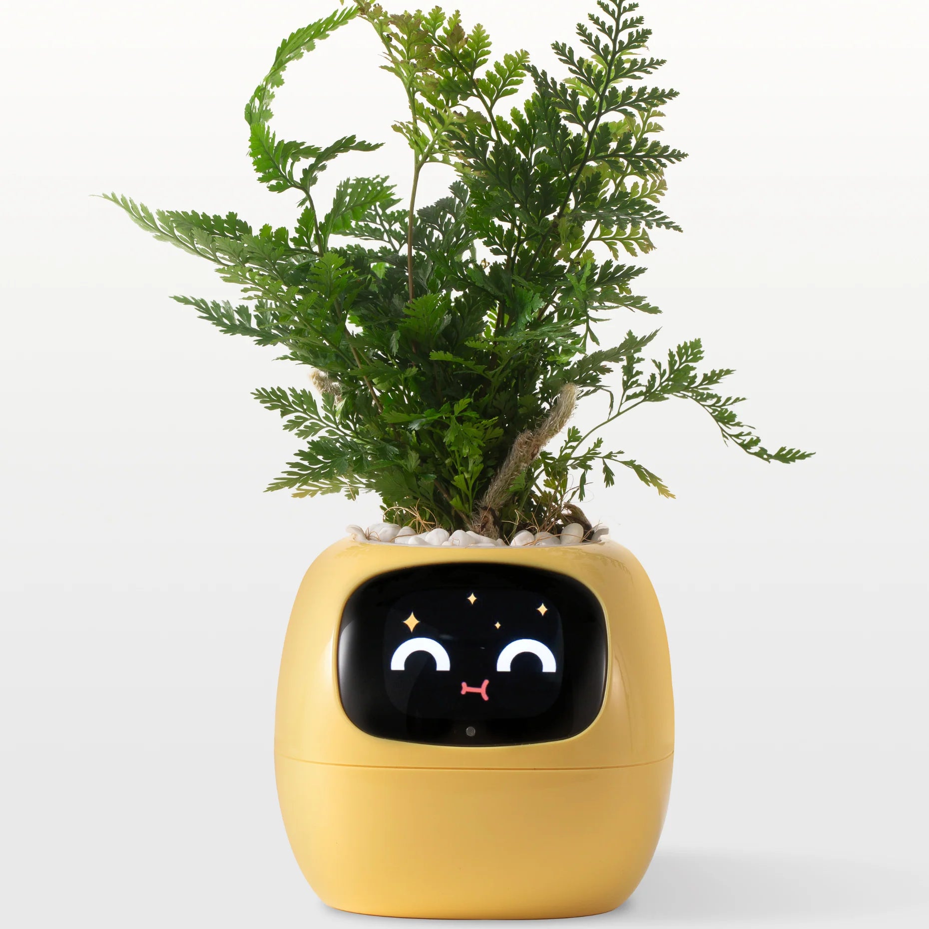 LOLY AI-Powered Smart Flowerpots! | BRIVLOX - BRIVLOX | Where Innovation Meets Style!