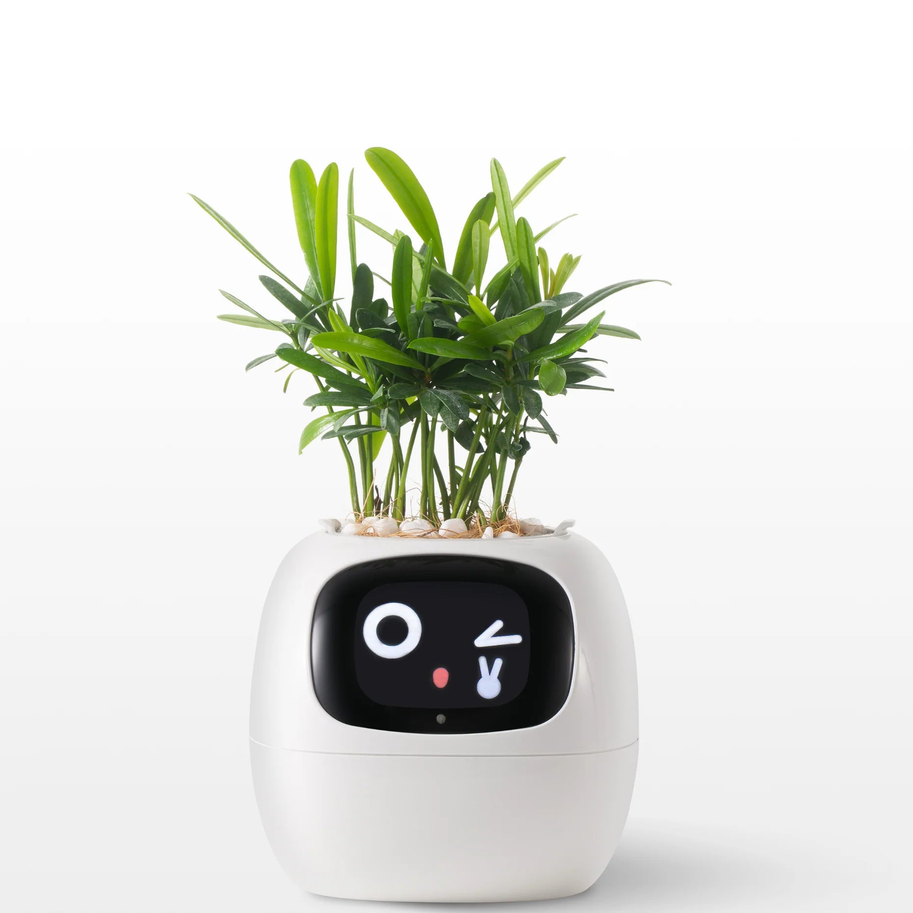 LOLY AI-Powered Smart Flowerpots! | BRIVLOX - BRIVLOX | Where Innovation Meets Style!